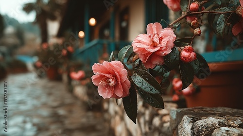 Wallpaper Mural A garden filled with peonies. Torontodigital.ca