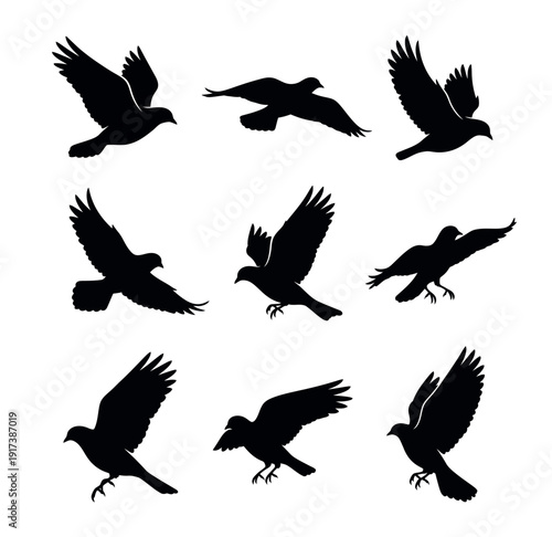 Set of silhouettes of birds