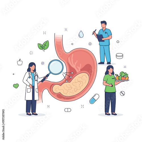 Medical team examining stomach health with healthy food and medicine, digestive system concept