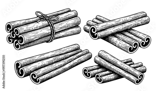 Hand sketched cinnamon stick vector collection natural spice bundle drawings