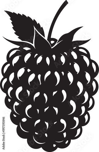 Black raspberry vector silhouette with intricate details and leaves, fruit illustration