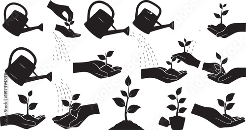 Nurturing Growth with Careful Hands and Watering Cans Silently