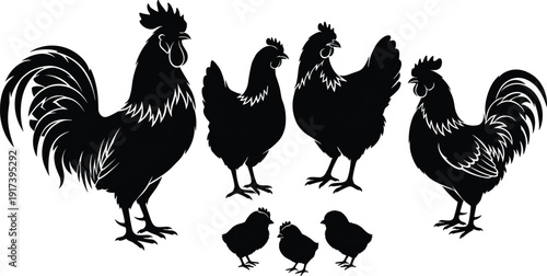 Rooster and hen silhouettes collection, farm chicken family with chicks, detailed poultry birds isolated on white background