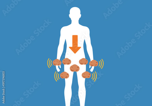 Illustration depicting fat stimulation and weight loss through targeted body arereduction A stylized  figure showcases orange fat deposits being drawn downwards highlighting a slimming effect