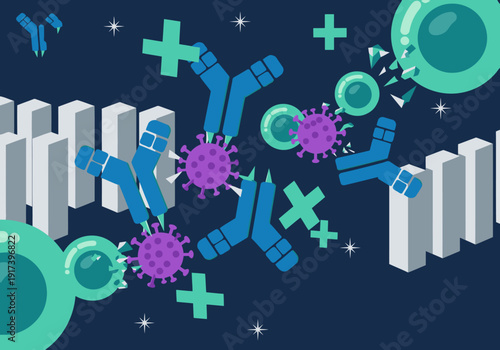 Illustrative graphic depicting an mRNA vaccine triggering an immune response.  Clear, modern design showcasing antibody binding and cell activation. Ideal for health & science visuals.