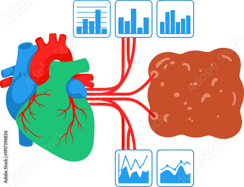 Illustrative graphic depicting heart, gut, and brain interconnected with metabolic health data. Vibrant colors and clear visual representation of health concepts.
