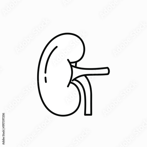 Clean Line Art Icon of a Human Kidney