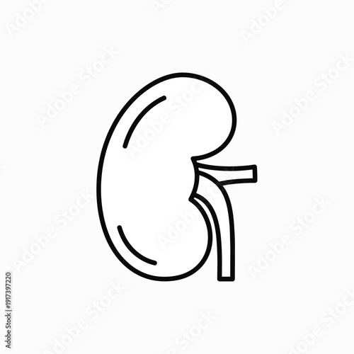 Kidney Icon - Simple Line Art