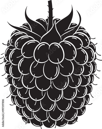 Black and white raspberry fruit icon isolated on transparent background with berry details