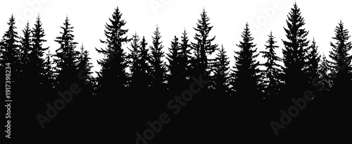 A black silhouette of a forest against a white background.