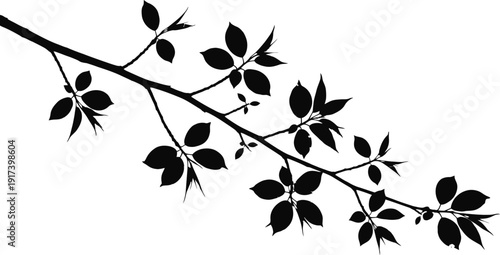 A minimalist illustration of a branch with leaves in black silhouette.