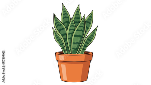 Cartoon illustration of a snake plant in a terracotta pot on white