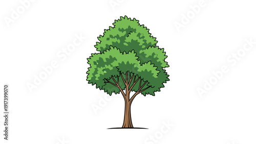Cartoon drawing of a deciduous tree with green foliage and brown trunk
