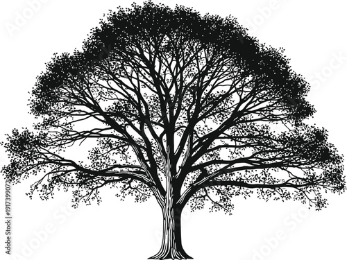 Bild auf Leinwand A simple black and white illustration of a tree with sprawling branches