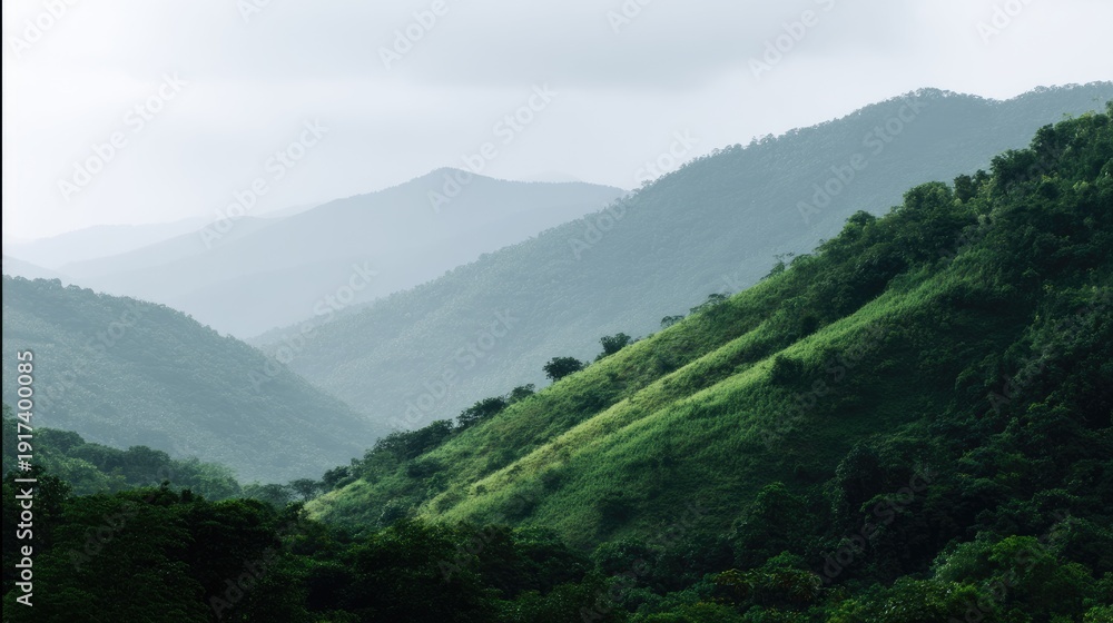 Obraz premium Asian mountain valley with layered depth and mist, no people, copy space