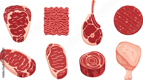 Collection of various raw meat cuts including beef steak, minced meat, pork chop, ribs, and chicken leg, flat vector illustration isolated on white.