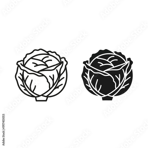 A black and white drawing of two cabbage heads Vector