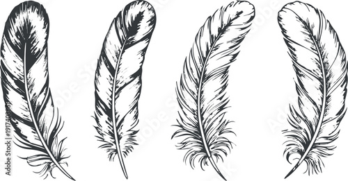 Black and white detailed feather illustration set