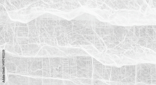 Textured white surface with intricate, web-like patterns resembling delicate threads or veins. The tone is ethereal and light, evoking a sense of fragility.