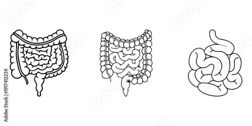 Detailed illustration of human intestines a striking black silhouette