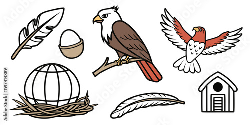 A variety of birds and their nests illustrated in a charming vintage style