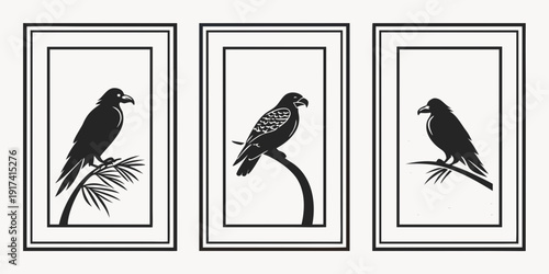 Three black and white bird illustrations in framed pictures on a white background
