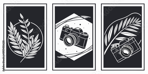 Vintage camera and nature-themed artwork on display