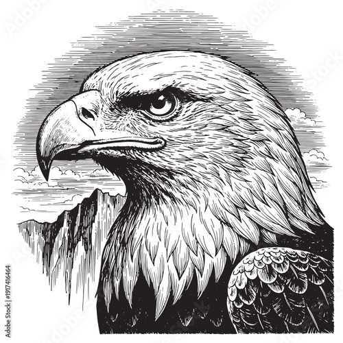 Eagle head portrait laser engraving design, vintage woodcut engraving vector illustration, detailed hand drawn ink line art raptor profile with strong feathers and beak for CNC etching