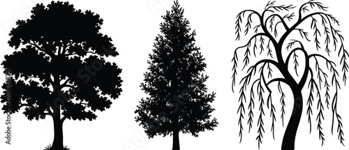 Wrestling referee raising hands of winners in blue red and grey singlets, sports competition victory celebration flat vector illustration isolated