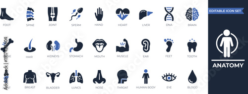 Human anatomy icon set featuring body organs, skeleton, brain, liver, nose, education, and clinical presentations. Solid icon collection.