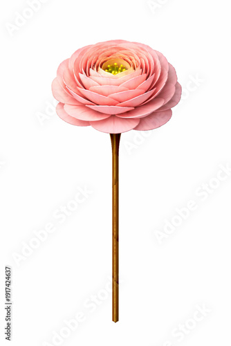 Vector Illustration of Single Ranunculus Flower Origami Craft