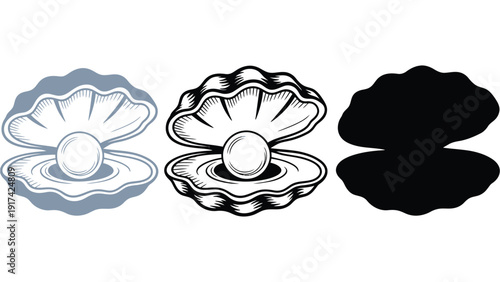 Oyster shell vector illustrations with pearls in different styles and colors