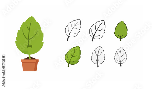 Cute cartoon tulsi plant flat vector illustration set