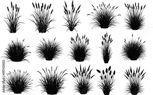 Cattail silhouette set, wetland marsh grass elements, botanical pond plants, cad drawing flat vector illustration, nature aquatic greenery landscaping, bulrush,