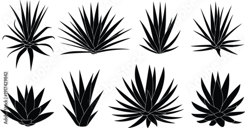 Agave silhouette, desert plant, succulent leaves, botanical illustration, black vector, nature design, tropical foliage, rustic theme, cactus family, garden clipart