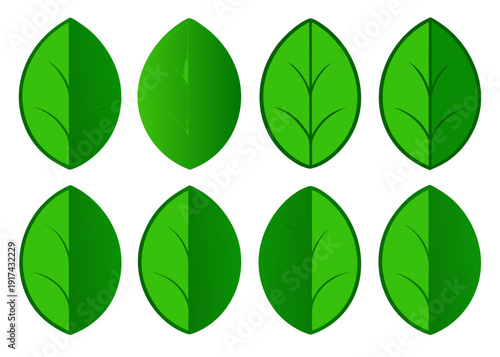 Collection of eight green leaves in a grid pattern Vector