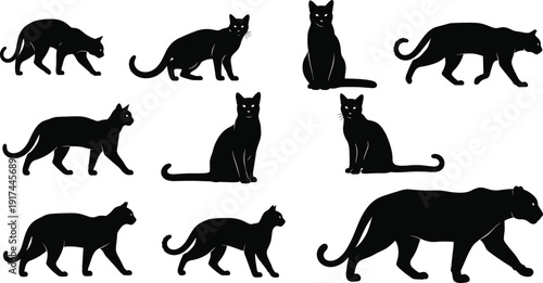 Set of black cat silhouette figures in various poses isolated on white background, feline animal collection illustration