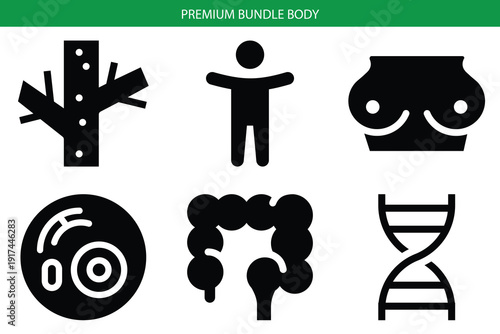 Wallpaper Mural Premium bundle body: minimalist human anatomy icons vector  Torontodigital.ca