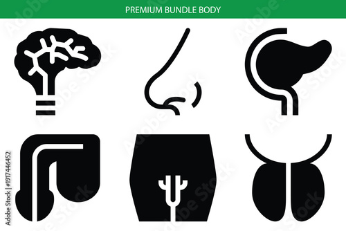 Wallpaper Mural Minimalist human body organ icons set vector  Torontodigital.ca