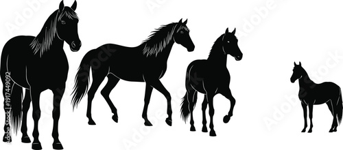 Black vector silhouette set of diverse horses including a stallion mare and young foal for equestrian sports ranch life horse breeding and veterinary branding