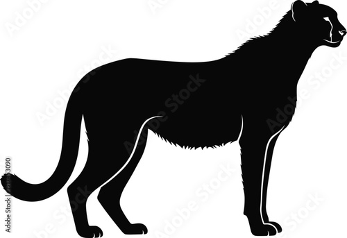 Black vector silhouette of a powerful cheetah standing in profile with realistic fur texture and long tail for safari nature and wildlife branding