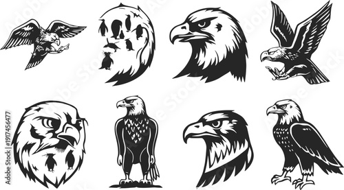 Eagle silhouette illustration set, bird icon artwork, patriotic animal vector design, freedom graphic pack, strength symbol collection, black and white sketch