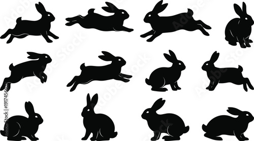 Silhouette of multiple rabbits in various running poses on white background