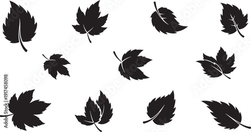 Black leaves on white background, falling foliage illustration design