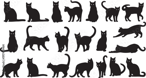 A collection of various cat silhouettes in different poses and positions isolated on white background
