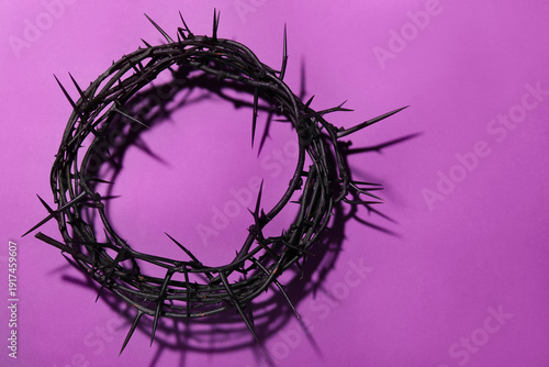 Crown of thorns on purple b...
