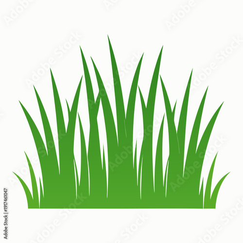 Green Tall Grass Isolated on White Background – Nature Vector Element