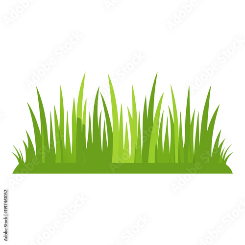 Fresh Green Grass Border Isolated on White Background – Vector Design