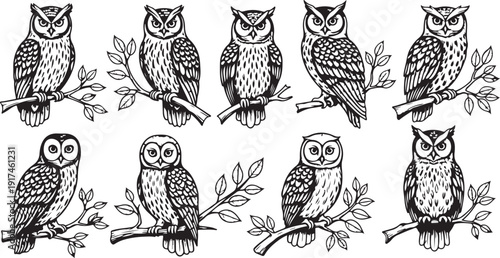 A collection of nine distinct owls perched on branches in a monochrome illustration isolated on white background