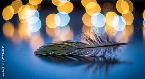 colorful light feathers background